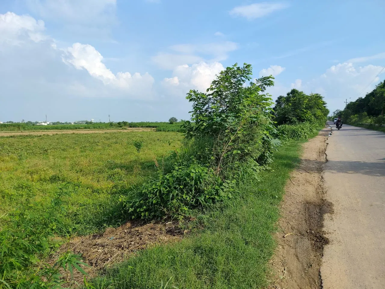 4 Bigha Premium Road-Front Land